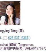 Qingying Tang